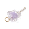 5Pcs Acrylic & Glass Pendants PALLOY-JF03526-01-4