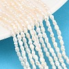 Natural Cultured Freshwater Pearl Beads Strands PEAR-D003-01D-01-1