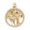 Brass Micro Pave Colorful Cubic Zirconia Pendants ZIRC-E165-05G-1
