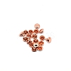 Brass Rivets PW-WG2BECC-23-1