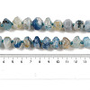 Natural Cherry Blossom Agate Beads Strands G-P535-I02-01A-5