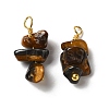 Natural Tiger Eye Pendants KK-P242-31G-05-1