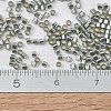 MIYUKI Delica Beads Small SEED-JP0008-DBS0048-4