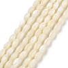 Natural Trochid Shell/Trochus Shell Beads Strands PBB513Y-1