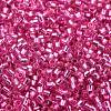Glass Seed Beads X-SEED-S042-04B-19-3