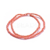 Electroplate Glass Beads Strands GLAA-F079-FR16-2