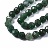 Natural Emerald Quartz Beads Strands X-G-T108-63-3