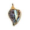 304 Stainless Steel Pave Natural Paua Shell Pendants STAS-Z148-02G-1