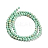 Assembled Synthetic Stone and Trochus Shell Beads Strands G-B128-08A-02-2