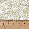 Two Tone Baking Paint Glass Seed Beads SEED-F005-01A-10-4