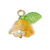 9Pcs 9 Colors Glass Charms PALLOY-MZ00838-2