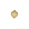 Resin with Golden Zinc Alloy Charms RESI-CJC0009-04A-1