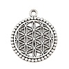 Tibetan Style Alloy Pendants AL-CBA1187-16AS-1