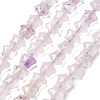 Natural Amethyst Beads Strands G-Z080-A24-8mm-2