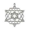 304 Stainless Steel Pendants STAS-M067-09P-1