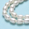 Natural Cultured Freshwater Pearl Beads Strands PEAR-J006-20A-01-4