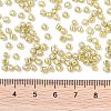 8/0 Glass Seed Beads X-SEED-A017-3mm-1113-3