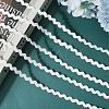 Polyester Ribbon OCOR-GF0004-77B-02-7