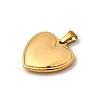 304 Stainless Steel Pendants STAS-B094-04D-G-2