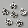 Tibetan Style Alloy Pendants FIND-CJC0004-16AS-2