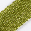Glass Beads Strands X-EGLA-E057-02B-13-1