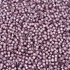 MIYUKI Delica Beads SEED-JP0008-DB1791-3