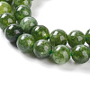 Dyed Natural Malaysia Jade Beads Strands G-G021-02C-13-3