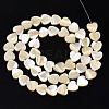 Natural Trochid Shell/Trochus Shell Bead Strands SSHEL-N034-92B-01-2