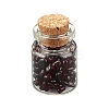Transparent Glass Wishing Bottle Decoration LS-DJEW-A001-01A-01-1