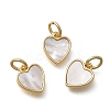 Brass & Natural Shell Heart Charms KK-D431-025B-02G-1