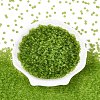 8/0 Glass Seed Beads SEED-A008-3mm-M4-2