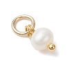 Natural Cultured Freshwater Pearl Potato Charms PALLOY-JF04505-01-4