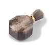 Electroplated Natural Druzy Agate Openable Perfume Bottle Pendants G-L524-10G-03-4