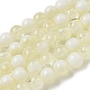 Crackle Glass Beads Strands GLAA-U001-8mm-11-1
