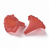 Transparent Acrylic Beads BSF796-C12-3