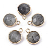 Gemstone Pendants G-T131-101-2