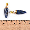 Natural Lapis Lazuli Pendants G-N345-01G-3