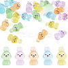 20Pcs 5 Colors Luminous Resin Rabbit Display Ornaments DJEW-TA0001-17-1