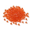 Transparent Glass Beads GGLA-Z004-05F-1