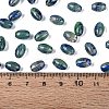 Glass Seed Beads SEED-T009-02L-4