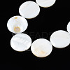 Natural Freshwater Shell Beads Strands SHEL-Q024-006-3