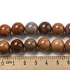 Natural Petrified Wood Round Bead Strands G-F266-08-12mm-6