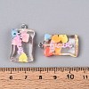Transparent Resin Pendants X-RESI-T056-06-4