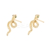 Green Cubic Zirconia Snake Stud Earrings EJEW-F282-25G-3