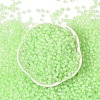 6/0 Luminous Glass Seed Beads X1-SEED-NH0001-01K-3
