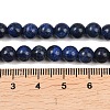 Dyed Natural Lapis Lazuli Round Beads Strands G-M169-6mm-05-5