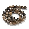 Natural Black Moonstone Beads Strands G-Q183-A01-02-3