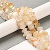 Heated Natural Citrine Beads Strands G-N327-05-22-2