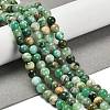 Natural Green Line Jasper  Beads Strands G-B128-A03-02-2