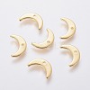 304 Stainless Steel Charms STAS-L234-073G-1